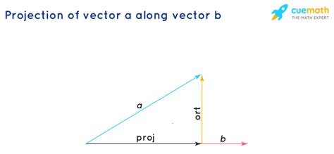 Vector Projection Formula - Learn to Find the Vector Projection