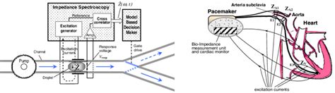 Different applications of bioimpedance spectroscopy in bio-and medical ...