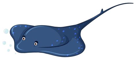 A stingray on white background 519149 Vector Art at Vecteezy