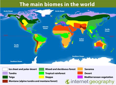 What is a Biome? - Internet Geography