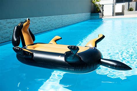 Pool Floats: Best Adult Inflatable Pool Floats Australia