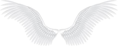 Download Angel Pattern - White angel wings PNG png download - 2104*832 ...