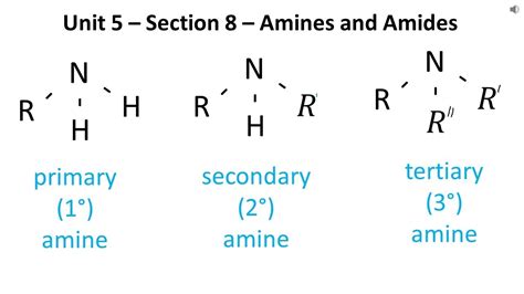 Simple Amines