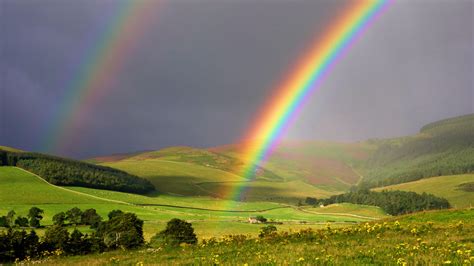 pictuREflection: Rainbow after the Rain