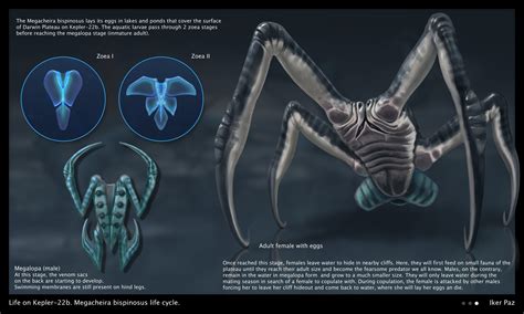 Iker Paz - Life on Kepler-22b. Megacheira bispinosus life cycle.