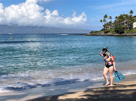 Best Snorkeling Spots in Maui (Map Included) - The Emerald Palate