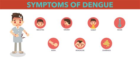 Dengue Fever in India: Causes, Symptoms, and Prevention Strategies for ...