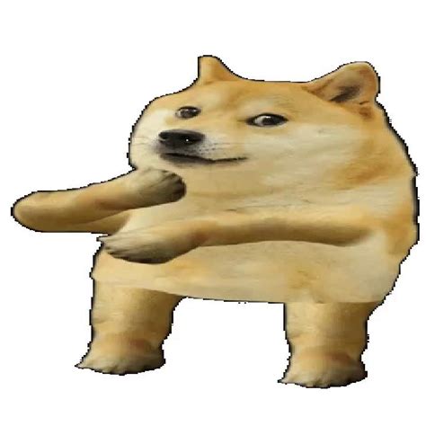 Katarakt Aktiv Oxidieren doge meme generator Sekretär heilig Katastrophal