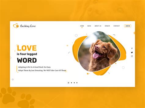 Pet Adoption Website by Rasika Padave on Dribbble