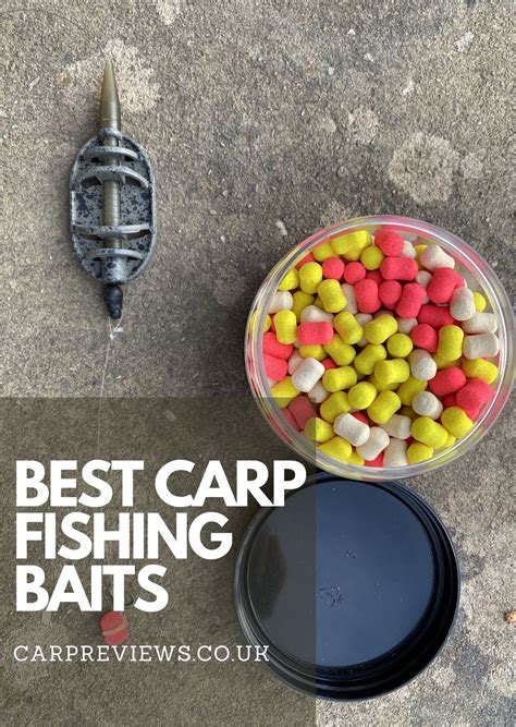 Best carp fishing baits | Carp fishing, Carp fishing bait, Fish