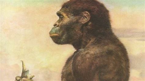 When Did Australopithecus Go Extinct? Trust The Answer ...