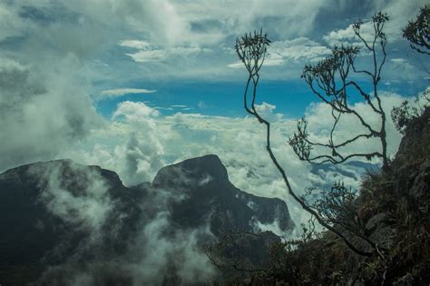 Pico da Neblina, ponto mais alto do Brasil, é destino a ser desbravado ...