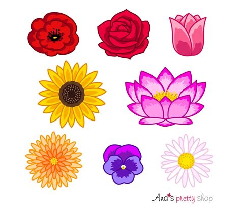 Blumen Clip Art, Blumen Clipart, bunte Blumen, Blütenköpfe, Mohn, Rose ...