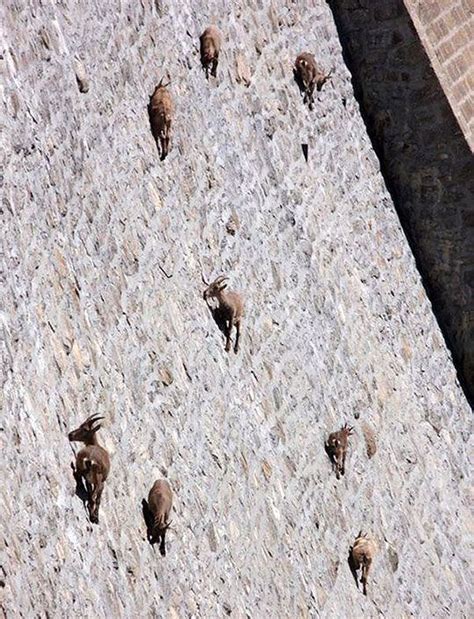 What On Earth Are Those Things On This Huge Dam Wall? Unbelievable ...