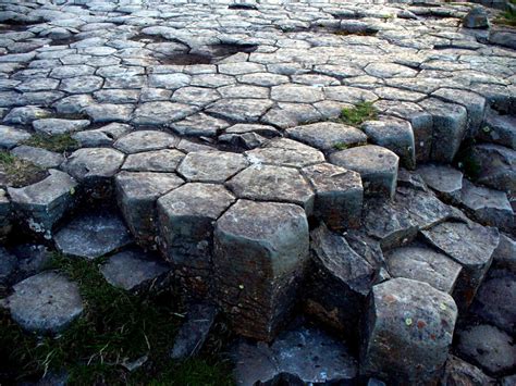 basalt columns - Google Search | Basalt columns, Basalt, Organic structure