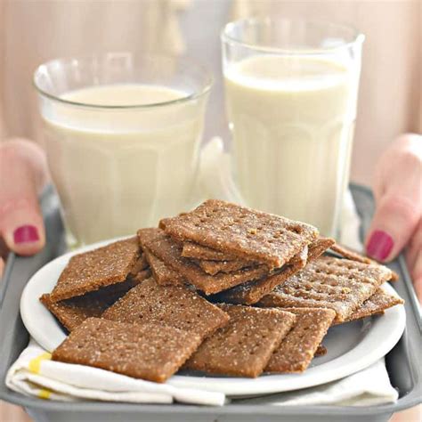 25 Healthy Homemade Crackers For Kids - All Kid Approved!