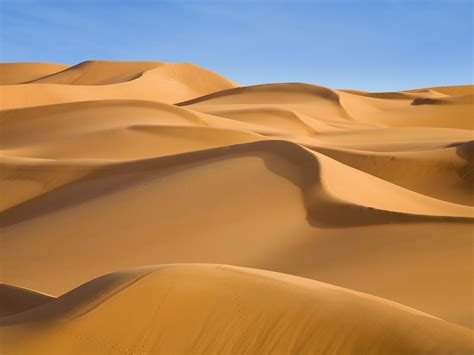 Amazing Desert Landscapes - Taste Full Tours