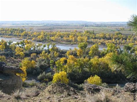 Montana Conservation Corps Crew Stewards Habitat in Backdrop of ...