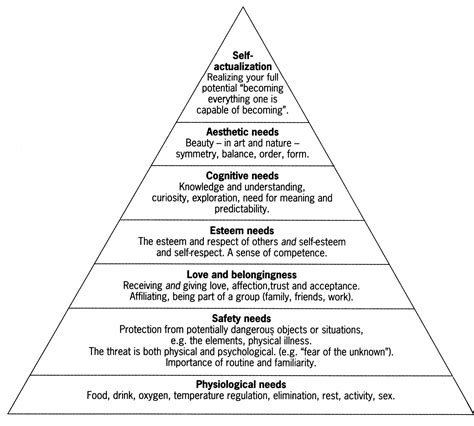 Maslow Hierarchy Of Needs With Examples