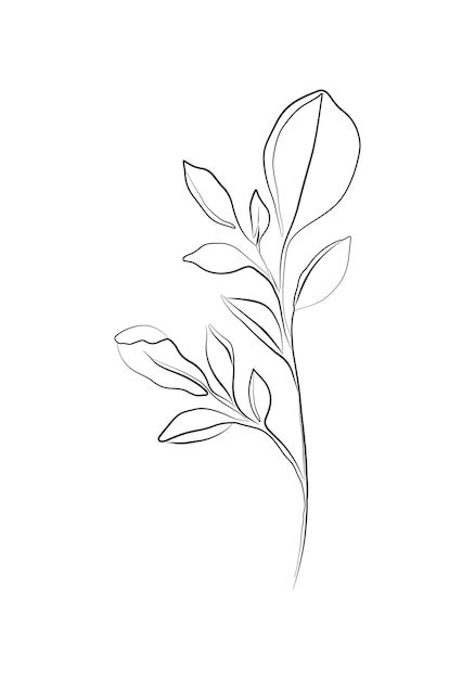 Premium Vector | Branch with leaves line art drawing plants single ...