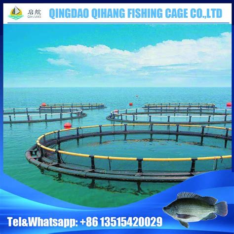 Popular Tilapia Fish Farming Equipment with Certificate - China Fish ...