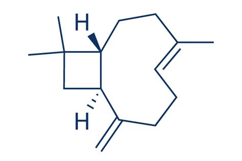 β-Caryophyllene | 99.27%(HPLC) | In Stock | Immunology & Inflammation ...