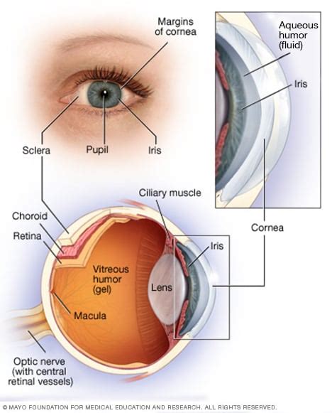 Best Medical Surgery – Affordable, International and high quality ...