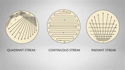 Streaking Method - TerrellsrVelazquez