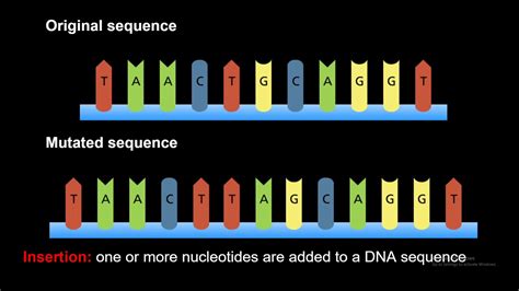 Mutation Meaning