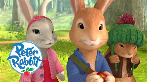 Peter Rabbit - Adventures with Best Friends ️ | Cartoons for Kids - YouTube