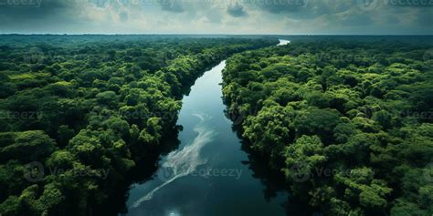 Generative AI, green beautiful amazonian jungle landscape with trees ...