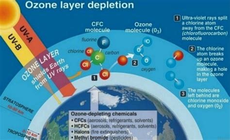 Ultraviolet (UV) radiation, Ozone hole causes, Health & environmental ...