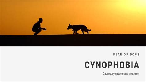 Fear of Dogs Phobia - Cynophobia | FEAROF