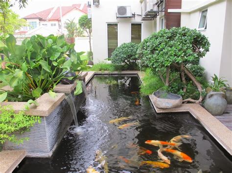 Best Minimalist Modern Fish Pond Design Ideas 2014 Ideas Picture Photo ...