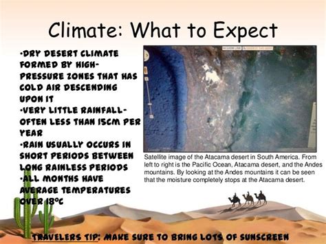 ️ Desert biome climate. The Köppen Climate Classification System. 2019 ...