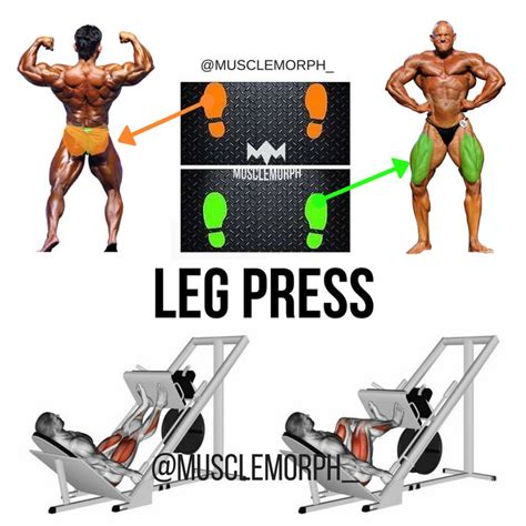 Leg Press Muscles Worked - Leg-Press Calf Presses | gymJP.com : Leg ...