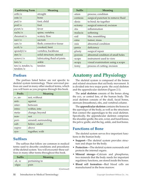 Printable Medical Terminology Flash Cards