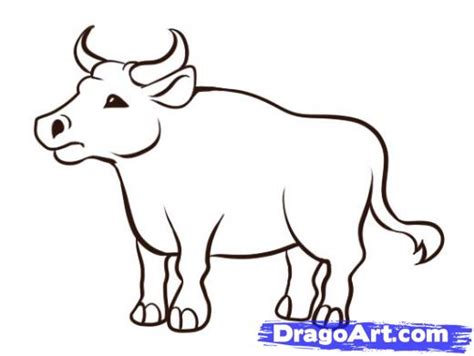 Ox - Drawing Skill