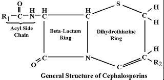 Pharmacology and effect of Drugs: Cephalosporins