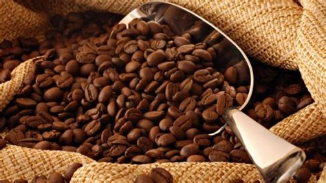 Kopi Toraja Arabika Dengan Karakteristik yang Mendunia - Delta Coffee ...