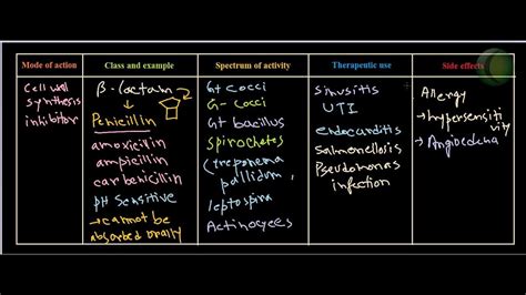 Penicillin antibiotics - YouTube