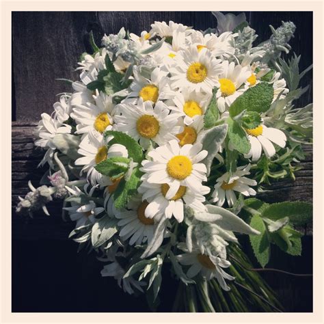 shasta daisy mixed bouquet - White Antler Flowers | Daisy bouquet ...