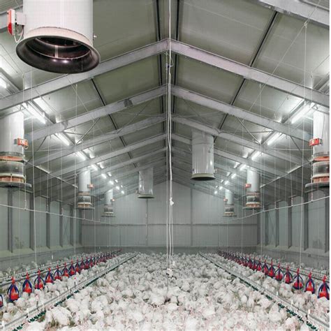 China Chicken Layer House Design for Poultry Farming with Equipment ...