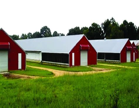 Poultry Shed Manufacturer | Poultry Shed Supplier India