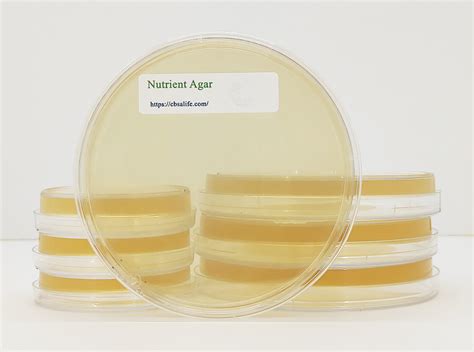 Nutrient Agar, Prepared Media Plates 100 mm, Pack of 10,Cat# CBS-CMD100 ...