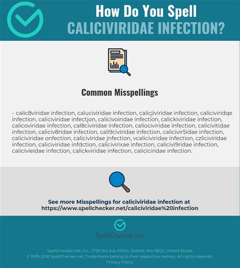 Correct spelling for Caliciviridae Infection [Infographic ...