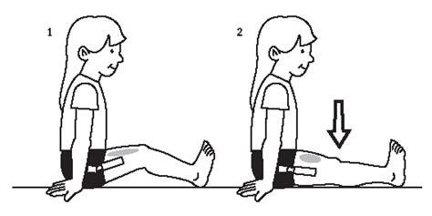 Quadricep Strengthening Exercises - Physio Professionals