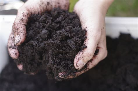 Make the Most of Your Garden Soil With These 6 Types Of Soil!