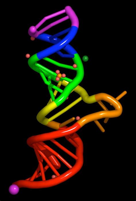 ISKCON News | Chemical Evolution: The RNA World (Part I) | ISKCON News