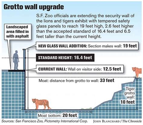 S.F. Zoo visitor saw 2 victims of tiger attack teasing lions